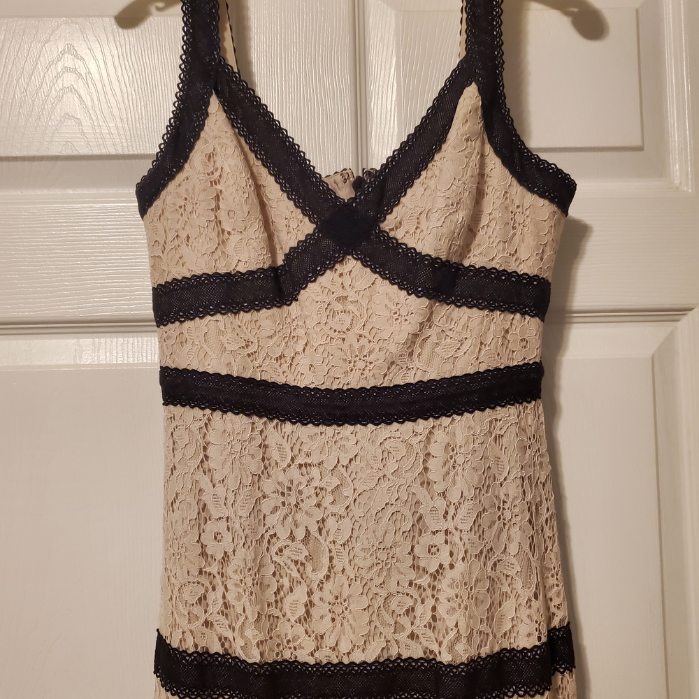 BCBGMAXAZRIA Bare Lace Dress with Black Accents - Picture 3 of 9